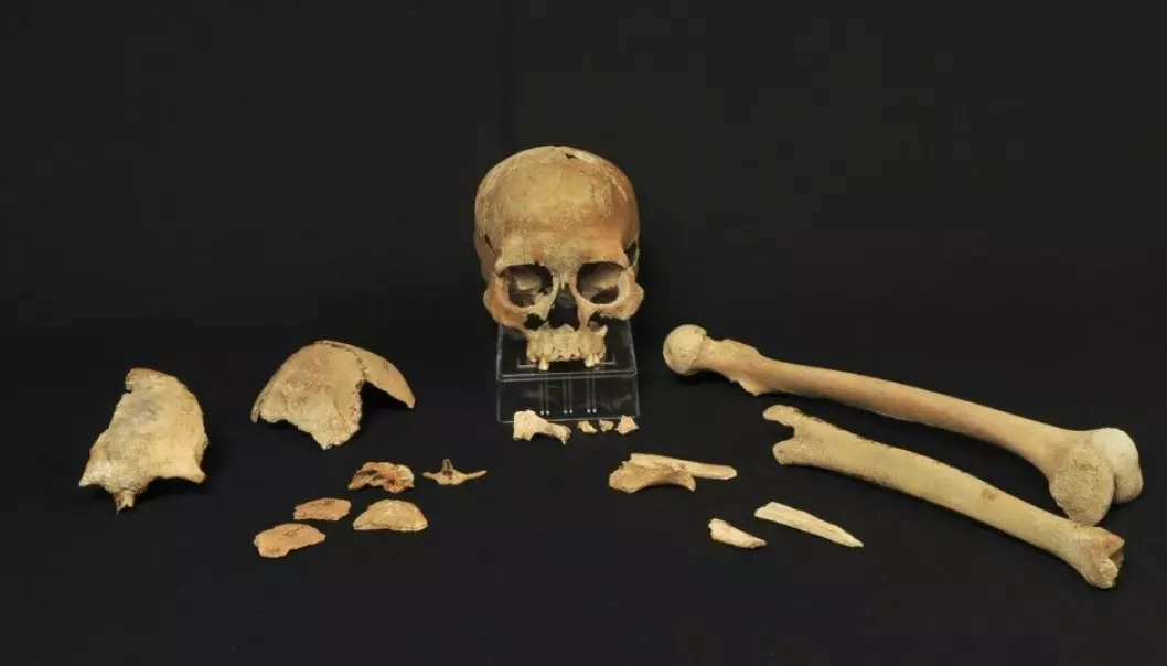 In 1994, Stone Age bones were found on the island of Hummervikholmen in the Søgne archipelago in southernmost Norway. New methods are finally available to analyse their DNA. (Photo: Beate Kjørslevik)