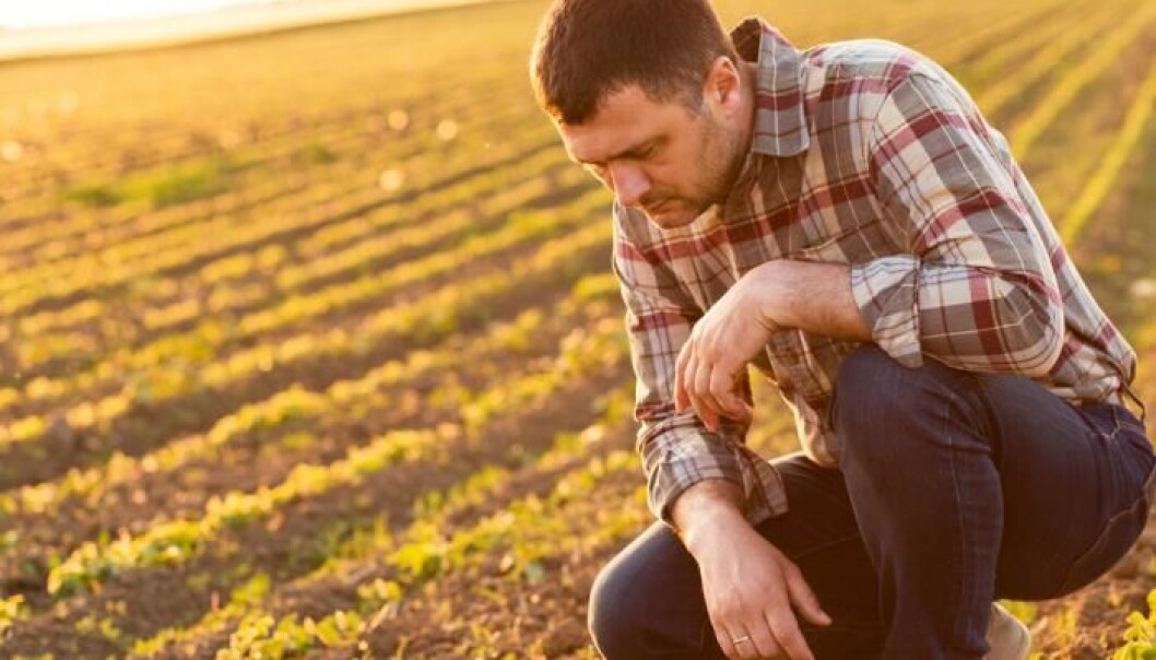 If farmers can prevent their crops from fighting each other they could boost overall yields. (Photo: Shutterstock) If farmers can prevent their crops from fighting each other they could boost overall yields. (Photo: Shutterstock)