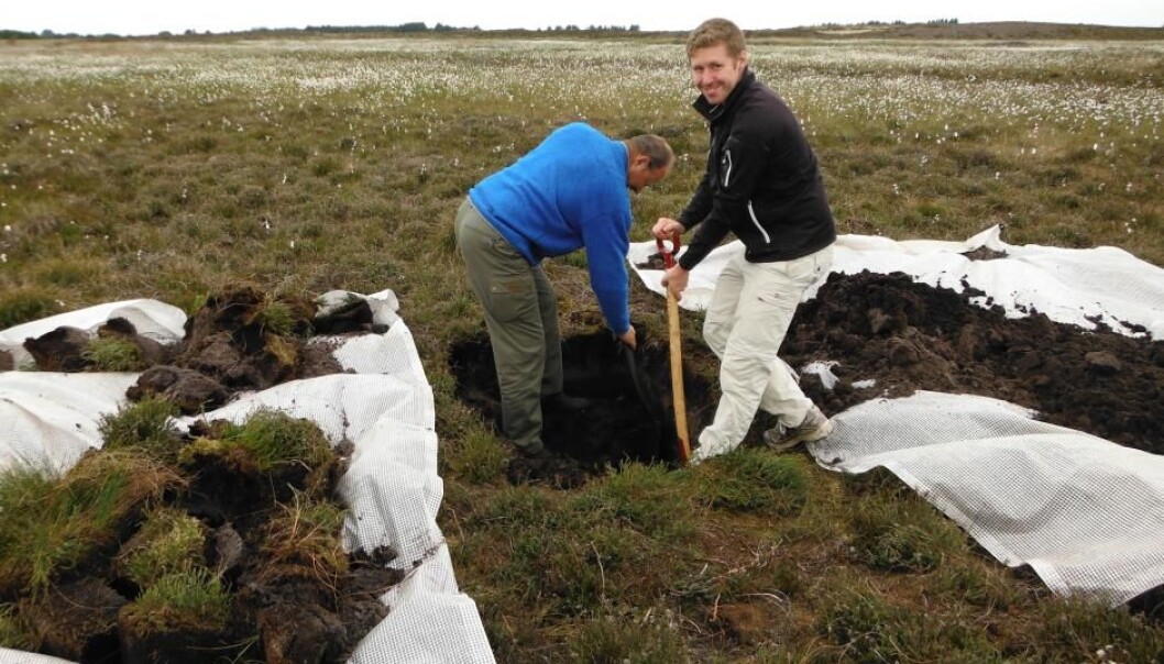 We need much more research into the many processes that rely on accurate measurements of soil pH. (Photo: Morten Strandberg) We need much more research into the many processes that rely on accurate measurements of soil pH. (Photo: Morten Strandberg)