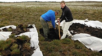 Is all soil more acidic than we thought?