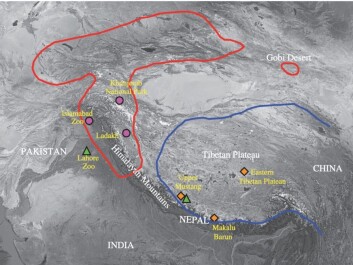 The location of bear samples from Lindqvist’s study shown by circles, triangles, and diamonds. The known habitat of Tibetan brown bears and Himalayan brown bears are indicated by the blue and red lines, respectively. The two species have remained relatively isolated from each other geographically for 650,000 years. (Map: Proceedings of the Royal Society B) The location of bear samples from Lindqvist’s study shown by circles, triangles, and diamonds. The known habitat of Tibetan brown bears and Himalayan brown bears are indicated by the blue and red lines, respectively. The two species have remained relatively isolated from each other geographically for 650,000 years. (Map: Proceedings of the Royal Society B)