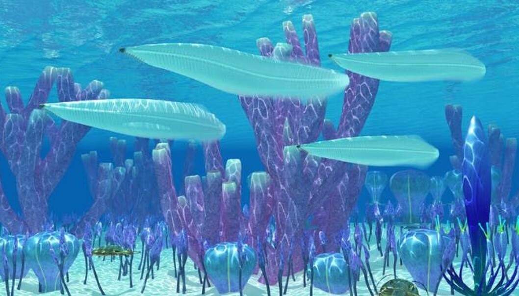 Oxygen may provide an unparalleled way for animals to produce energy, but it isn’t necessarily easy for multicellular organisms to start benefiting from higher levels of oxygen. (Photo. Shutterstock) Oxygen may provide an unparalleled way for animals to produce energy, but it isn’t necessarily easy for multicellular organisms to start benefiting from higher levels of oxygen. (Photo. Shutterstock)