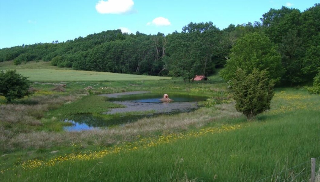 More methane could be released from lakes as the planet warms, and especially so if the lakes are rich in nutrients. (Photo: Shutterstock) More methane could be released from lakes as the planet warms, and especially so if the lakes are rich in nutrients. (Photo: Shutterstock)