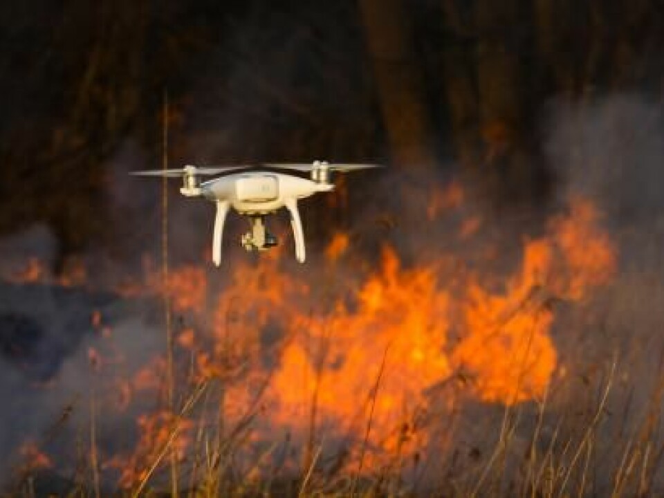 A drone flies over a forest fire to get an overview. (Photo: Shutterstock)