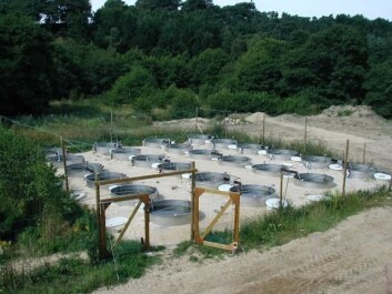 The 24 artificial lakes actually consist of stainless-steel tanks, each holding 2,800 litres of water. At the bottom is 30 centimetres of sediment, small animals, submerged plants, algae, and nutrients to simulate real lakes. (Photo: Thomas Alexander Davidson) The 24 artificial lakes actually consist of stainless-steel tanks, each holding 2,800 litres of water. At the bottom is 30 centimetres of sediment, small animals, submerged plants, algae, and nutrients to simulate real lakes. (Photo: Thomas Alexander Davidson)