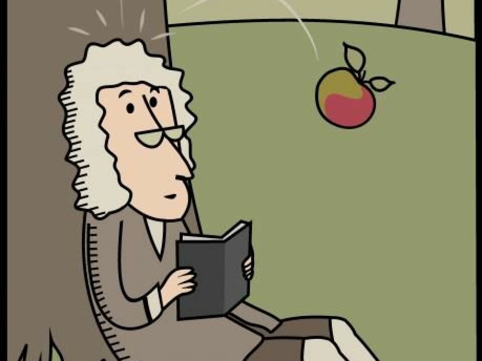 If that apple had never hit Newton's head, would we instead explain falling objects in terms of their energy and not gravity? (Illustration: Shutterstock)