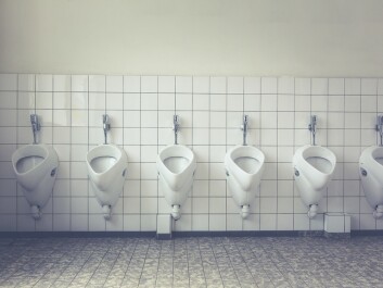 Your pelvic floor muscles are the muscles you use to control the flow of urine as you urinate. (Photo: Pexels) Your pelvic floor muscles are the muscles you use to control the flow of urine as you urinate. (Photo: Pexels)