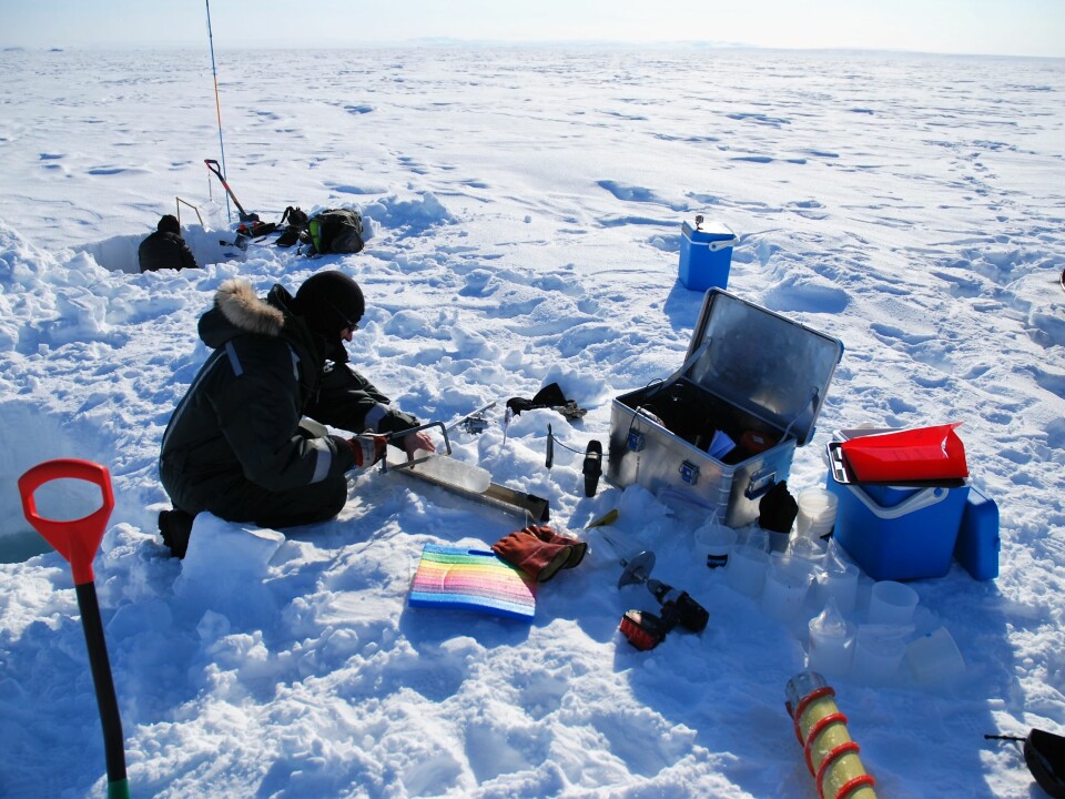 The scientists set up their laboratory on the ice in North-East Greenland, where temperatures can reach minus 20 degrees Centigrade in May. (Photo: Kasper Hancke)
