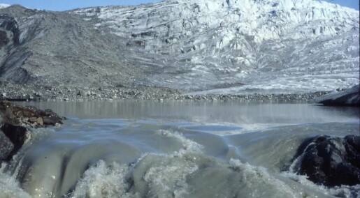 Can Greenlandic mud help feed the world?