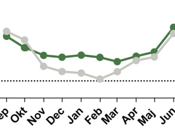 Gaps between stones in the tidal zone create a protected environment for mussels. Here, temperatures (green line) are many degrees warmer than the surrounding air (grey line) in winter. (Credit: Thyrring et al. (2017)) Gaps between stones in the tidal zone create a protected environment for mussels. Here, temperatures (green line) are many degrees warmer than the surrounding air (grey line) in winter. (Credit: Thyrring et al. (2017))