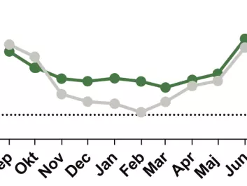 Gaps between stones in the tidal zone create a protected environment for mussels. Here, temperatures (green line) are many degrees warmer than the surrounding air (grey line) in winter. (Credit: Thyrring et al. (2017))