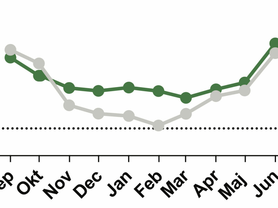 Gaps between stones in the tidal zone create a protected environment for mussels. Here, temperatures (green line) are many degrees warmer than the surrounding air (grey line) in winter. (Credit: Thyrring et al. (2017))
