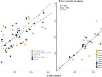 Correlation coefficients for all field and laboratory flies. Trait types are categorised into: tolerance traits, body composition, and life history. The left panel (A) plots correlation between all 12 traits for all species, and shows that time in the laboratory may dampen, but does not negate, the relationship between traits. The right panel (B) plots correlation between traits and environmental variables. The high correlations demonstrate that laboratory maintenance does not erode this association. (Graph: Maclean et al. 2018 / Author provided) Correlation coefficients for all field and laboratory flies. Trait types are categorised into: tolerance traits, body composition, and life history. The left panel (A) plots correlation between all 12 traits for all species, and shows that time in the laboratory may dampen, but does not negate, the relationship between traits. The right panel (B) plots correlation between traits and environmental variables. The high correlations demonstrate that laboratory maintenance does not erode this association. (Graph: Maclean et al. 2018 / Author provided)