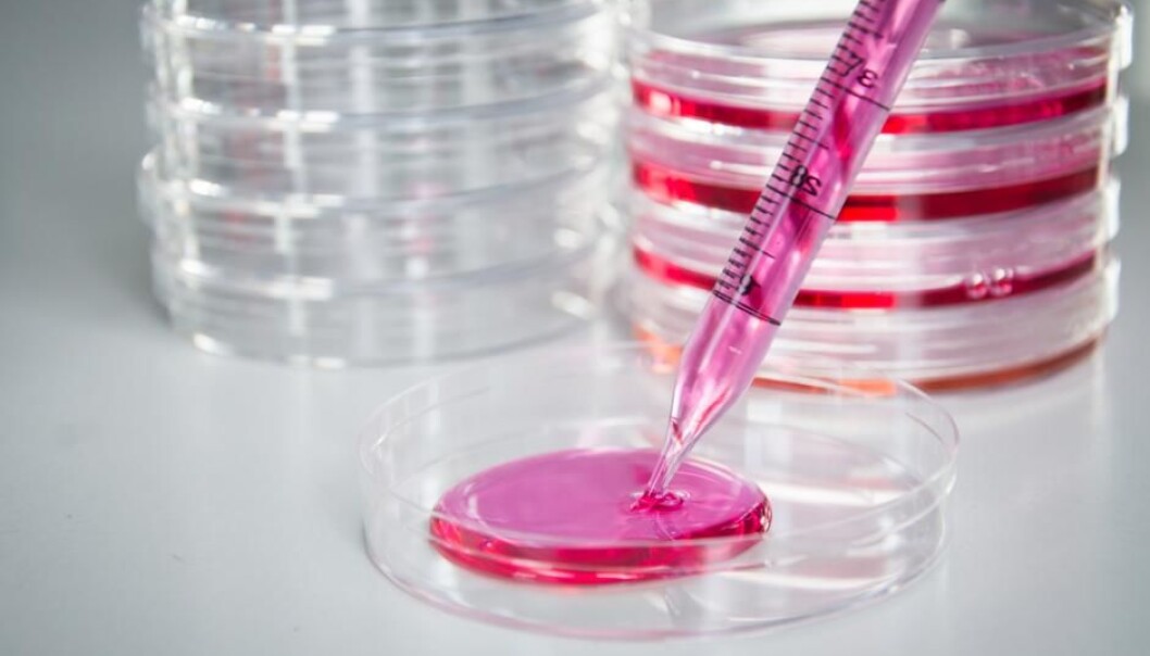 Almost 70 years ago, scientists developed the technology to keep cells alive outside the body. But you cannot escape the human factor, and this can lead to new and variable results. (Photo: Shutterstock) Almost 70 years ago, scientists developed the technology to keep cells alive outside the body. But you cannot escape the human factor, and this can lead to new and variable results. (Photo: Shutterstock)