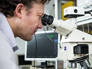 Experimental research on optical chips at Aarhus University. (Photo: Lars Kruse, Aarhus University) Experimental research on optical chips at Aarhus University. (Photo: Lars Kruse, Aarhus University)