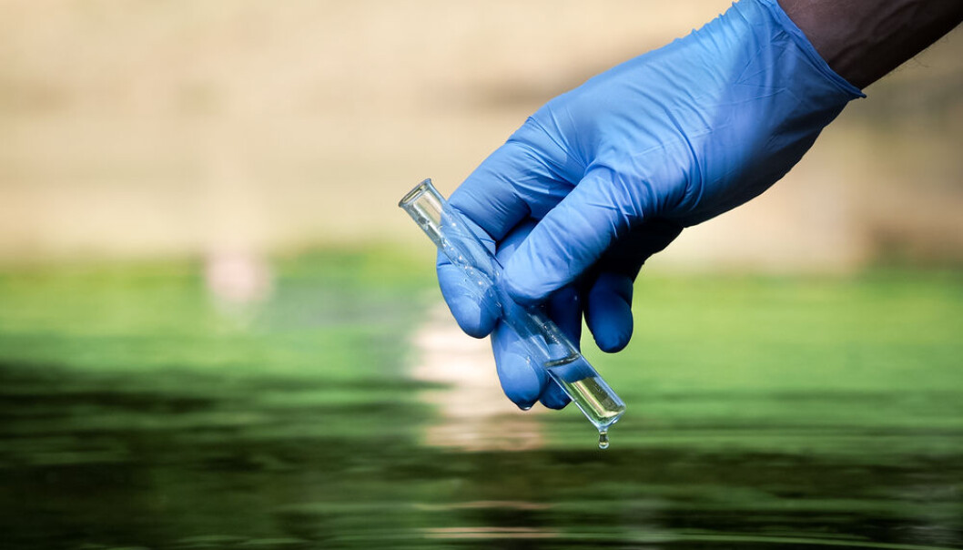 Finding quick and easy ways to spot E. coli in drinking water are crucial to avoid public health risks. (Photo: Shutterstock) Finding quick and easy ways to spot E. coli in drinking water are crucial to avoid public health risks. (Photo: Shutterstock)