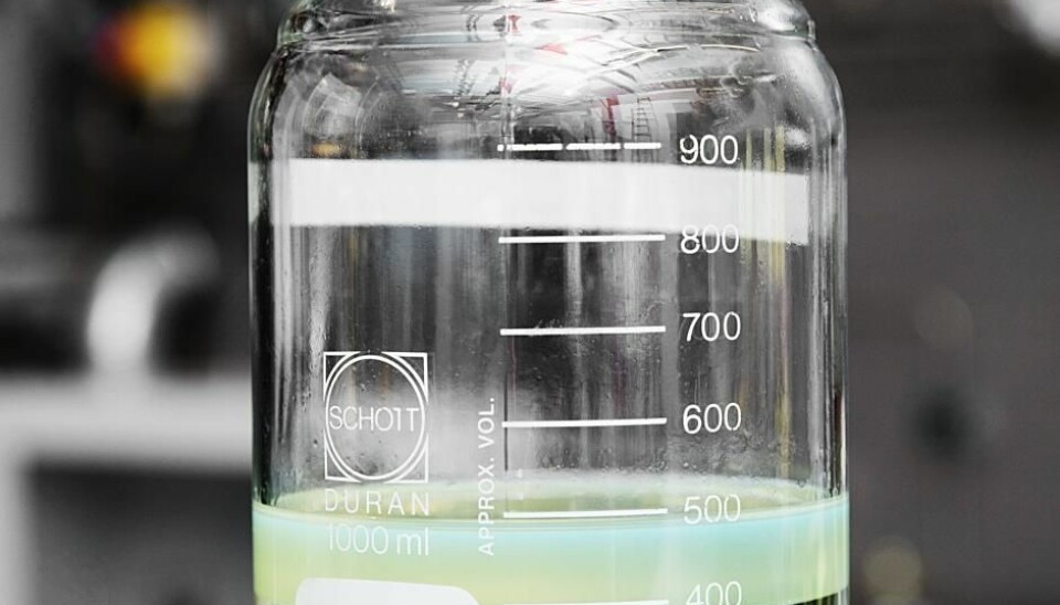 Separation of water (lower layer) and bio-oil. A new technique could lead to greener transport. (Photo: Thorkild Christensen)