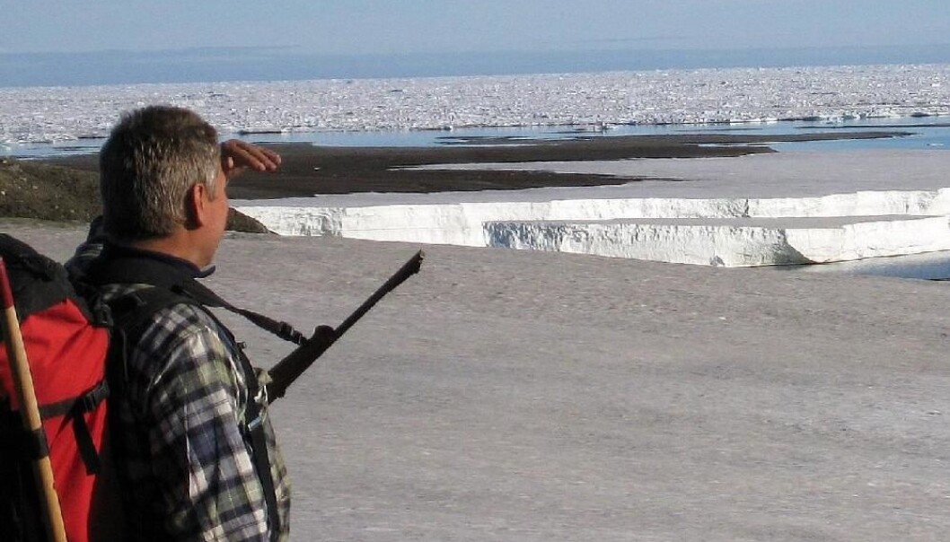 There will be less and less summer sea ice along the north coast of Greenland, but in fact there was only half as much 6,000 years ago as there is now. (Photo: Svend Funder) There will be less and less summer sea ice along the north coast of Greenland, but in fact there was only half as much 6,000 years ago as there is now. (Photo: Svend Funder)