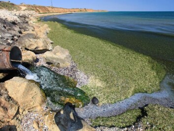 Agriculture is not the only source of nitrogen in the Baltic. Other sources are cities and industry, which were previously the biggest contributors, but have been successfully regulated and reduced. (Photo: Shutterstock) Agriculture is not the only source of nitrogen in the Baltic. Other sources are cities and industry, which were previously the biggest contributors, but have been successfully regulated and reduced. (Photo: Shutterstock)