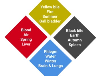 The four humours in Hippocratic medicine with the associated organs combined with Empedocles’ four elements, the seasons, and the two coupled contrasting conditions. (Illustration: Ole Sonne) The four humours in Hippocratic medicine with the associated organs combined with Empedocles’ four elements, the seasons, and the two coupled contrasting conditions. (Illustration: Ole Sonne)