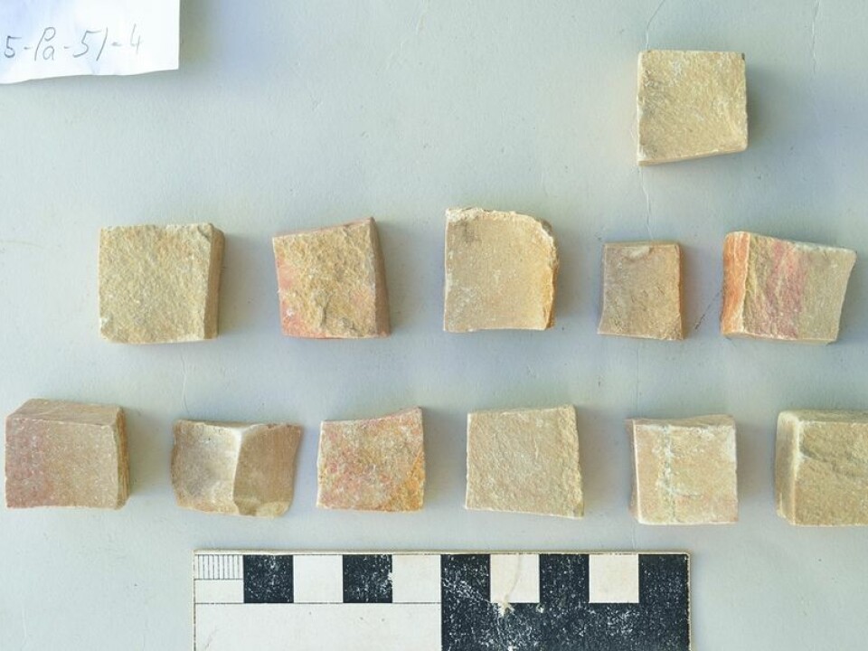 Some of the mosaic tiles recovered from Gerasa (Photo: The Danish-German Jerash Northwest Quarter Project).