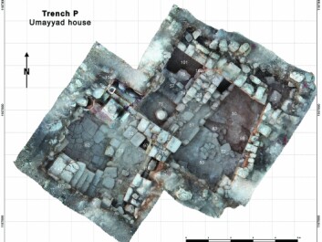 The ‘House of the Tesserae’ excavated in Gerasa. The numbers relate to different archaeological features (Photo: The Danish-German Jerash Northwest Quarter Project). The ‘House of the Tesserae’ excavated in Gerasa. The numbers relate to different archaeological features (Photo: The Danish-German Jerash Northwest Quarter Project).