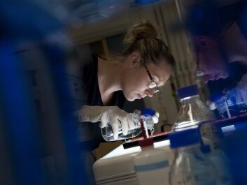 Emily O’Connor sequenced the immune genes of 32 species of songbird. (Photo: Aron Hejdstrom) Emily O’Connor sequenced the immune genes of 32 species of songbird. (Photo: Aron Hejdstrom)