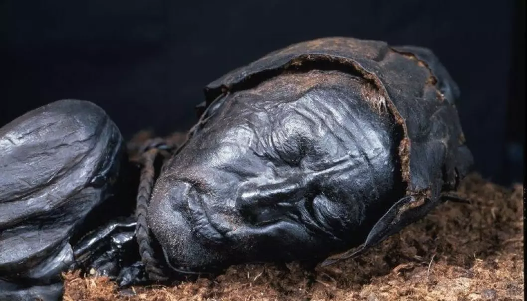 Scientists have re-examined the bog bodies of Denmark, like Tollund Man shown here. (Photo: Museum Silkeborg)