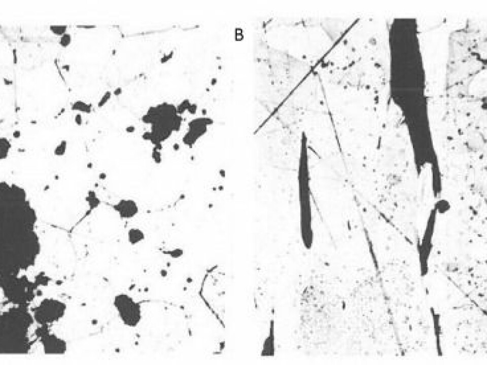 Bog iron ore seen under a microscope and magnified 400 times. On the left you can see rounded slag inclusions in the iron that has just been removed from the furnace (bloom iron). On the right you can see the flat slag inclusions formed by forging and working the bloom iron. (Figure: Henriette Syrach Lyngstrøm)