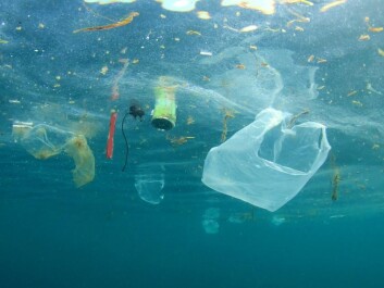 We live in a society surrounded by plastic. It is an important material that helps us to tackle a number of problems, but it can also be harmful for the environment when not disposed of in a sustainable way. (Photo: Shutterstock) We live in a society surrounded by plastic. It is an important material that helps us to tackle a number of problems, but it can also be harmful for the environment when not disposed of in a sustainable way. (Photo: Shutterstock)