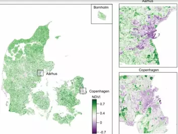 Distribution of vegetation in Denmark indicated by an NDV-index. Lower values (purple shading) indicate less vegetation, and higher values (green shading) indicates more vegetation. Vegetation is especially sparse in Copenhagen and Aarhus. (Illustration: Engemann et al. 2018)