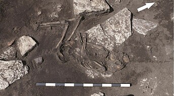 Evidence uncovered of a 1500-year-old massacre in Sweden