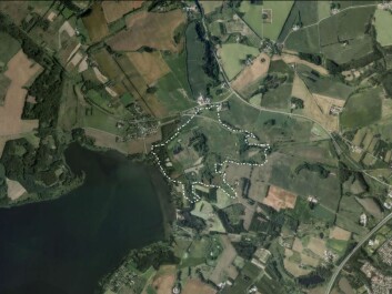 Alken Enge wetland extends east of Lake Mossø in East Jutland. (Map: Archaeological IT, Aarhus University) Alken Enge wetland extends east of Lake Mossø in East Jutland. (Map: Archaeological IT, Aarhus University)