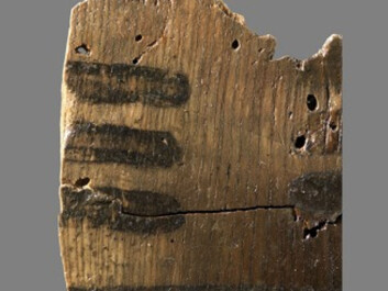 The paddles had black patterns drawn on them (Photo: Moesgård Museum) The paddles had black patterns drawn on them (Photo: Moesgård Museum)