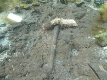 Axes with well-preserved wooden handles were also found at the bottom. (Photo: Claus Skriver)