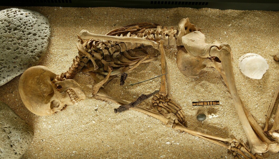 Skeleton of an Icelandic woman who died more than 1,000 years ago. Scientists have now mapped her genome and that of 26 other first generation Icelanders. (Photo: Ívar Brynjólfsson / National Museum of Iceland) Skeleton of an Icelandic woman who died more than 1,000 years ago. Scientists have now mapped her genome and that of 26 other first generation Icelanders. (Photo: Ívar Brynjólfsson / National Museum of Iceland)