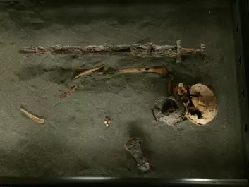 The genetic material from a man buried as a Viking reveals both Norse and Gaelic DNA, suggesting the Vikings had children with people in Ireland or Scotland before they migrated north. (Photo: Ívar Brynjólfsson / National Museum of Iceland)