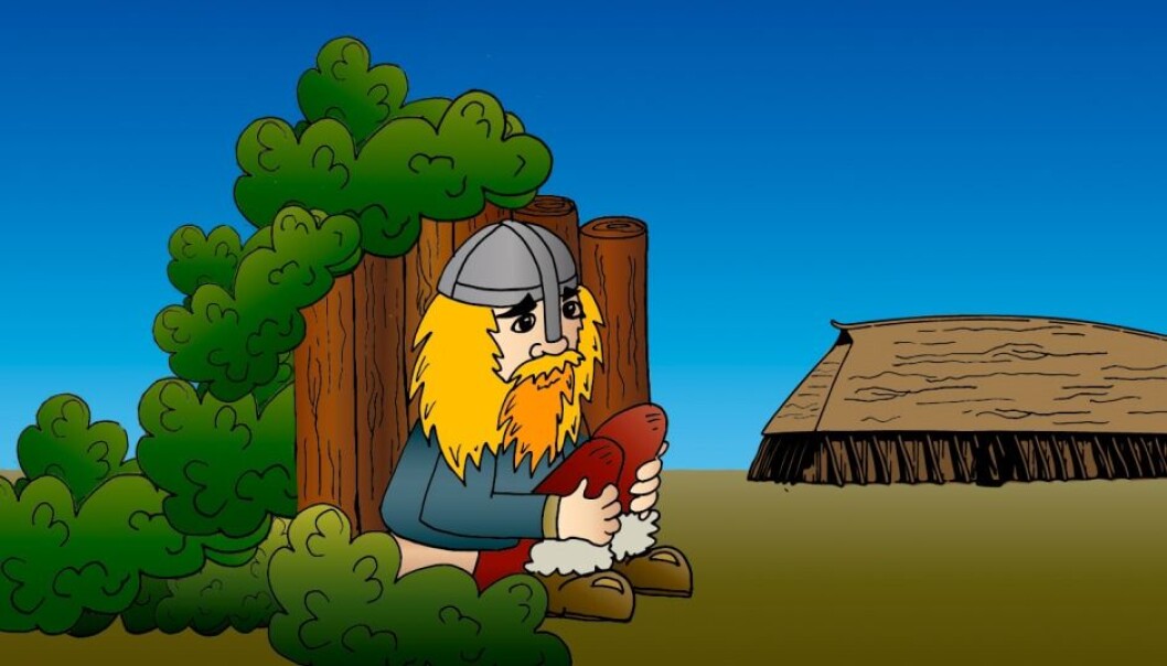 Vikings and other Europeans suffered stomach pains and diarrhoea due to raw and undercooked fish and pork. Typical symptoms of tapeworms. (Illustration: Videnskab.dk) Vikings and other Europeans suffered stomach pains and diarrhoea due to raw and undercooked fish and pork. Typical symptoms of tapeworms. (Illustration: Videnskab.dk)