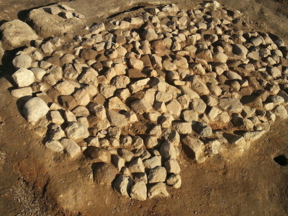 Bildetekst: This is the excavated kiln in southern Sweden where the barley grains were found. (Picture: Mikael Larsson)