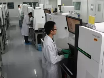 Chinese researchers at BGI (the Beijing Genomics Institute) analysing DNA. (Photo: BGI)