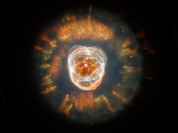 The remains of a star that burnt out 10,000 years ago. The colours indicate a number of elements: Nitrogen (red), hydrogen (green), oxygen (blue), and helium (violet). (Photo: NASA/ESA/STScI)
The remains of a star that burnt out 10,000 years ago. The colours indicate a number of elements: Nitrogen (red), hydrogen (green), oxygen (blue), and helium (violet). (Photo: NASA/ESA/STScI)