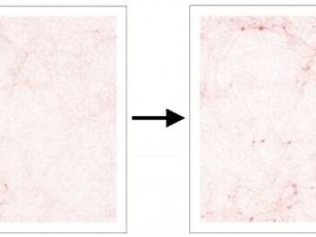 Structure formation: The first three images are from a computer simulation of the influence of gravity on matter, showing how the structure of the Universe (galaxies and clusters of galaxies) are formed. The fourth image is from the Hubble Space Telescope's Ultra Deep Field (credit: NASA/ESA), showing a few thousand galaxies (and a single star in our own galaxy in the lower right). (Illustration: Peter Laursen) Structure formation: The first three images are from a computer simulation of the influence of gravity on matter, showing how the structure of the Universe (galaxies and clusters of galaxies) are formed. The fourth image is from the Hubble Space Telescope's Ultra Deep Field (credit: NASA/ESA), showing a few thousand galaxies (and a single star in our own galaxy in the lower right). (Illustration: Peter Laursen)