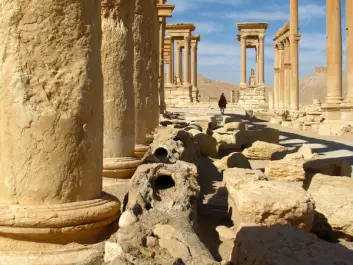 The remarkably well preserved remains of Palmyra have recently undergone major destruction due to the current conflict in Syria, but the site remains one of the best-known urban settlements in the Roman East.  (Photo: <a href="http://users.unimi.it/progettopalmira/pages/progetto.html" target="_blank" >PAL.M.A.I.S. project</a>)