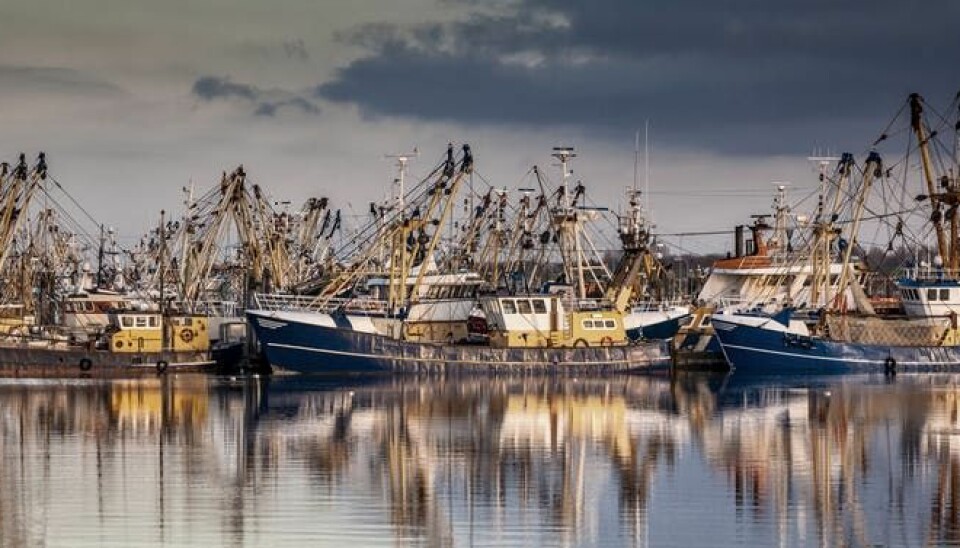 Fishing ships in Lauwersoog, The Netherlands. (Photo: Rudmer Zwerver/Shutterstock)