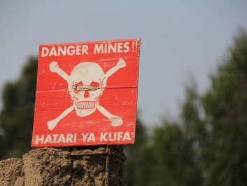DR Congo is the world's biggest source of cobalt, used in batteries. (Photo: bmszealand / shutterstock) DR Congo is the world's biggest source of cobalt, used in batteries. (Photo: bmszealand / shutterstock)