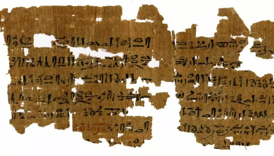 Instructions for a 3,500-year-old pregnancy test. (Photo: Carlsberg Papyrus Collection / University of Copenhagen)
