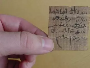 This little piece of papyrus is believed to contain a type of oracle question. The author has written two possible outcomes for a situation and asked the gods to indicate which one was the truth. (Photo: The Papyrus Carlsberg Collection/ University of Copenhagen)