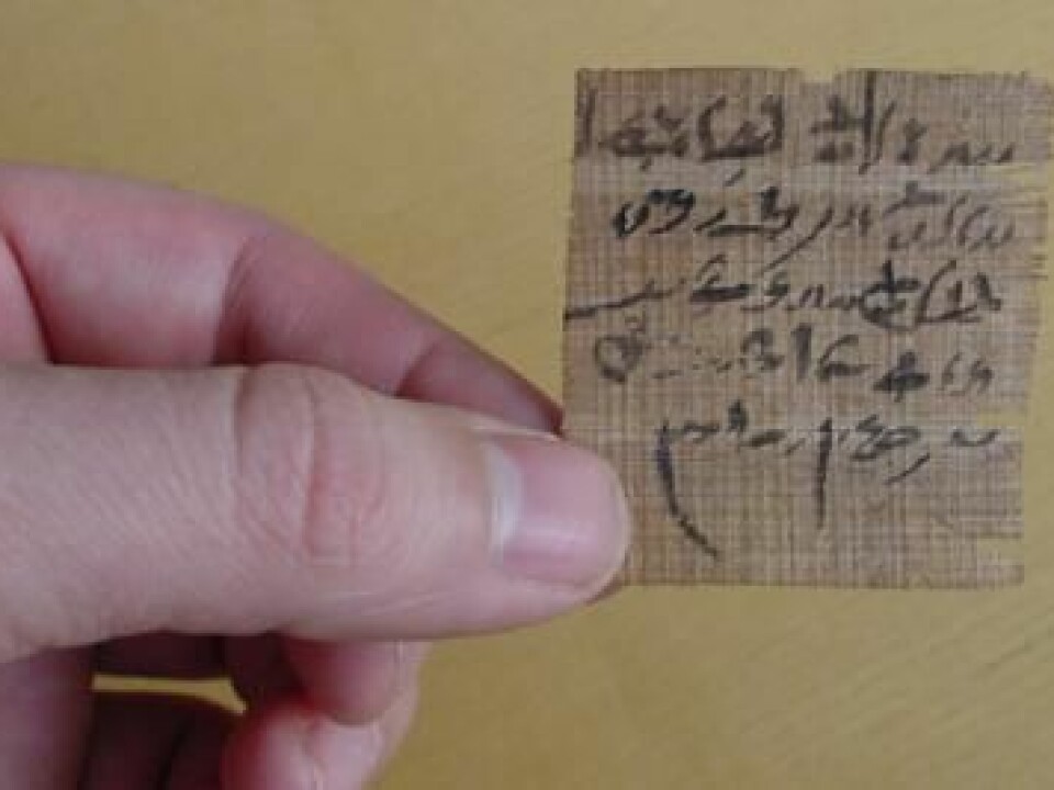 This little piece of papyrus is believed to contain a type of oracle question. The author has written two possible outcomes for a situation and asked the gods to indicate which one was the truth. (Photo: The Papyrus Carlsberg Collection/ University of Copenhagen)