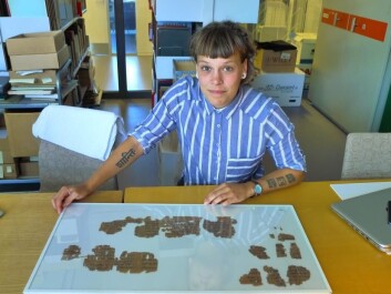 Sofie Schiødt in front of a 3,500-year-old medical papyrus. (Photo: Mikkel Andreas Beck) Sofie Schiødt in front of a 3,500-year-old medical papyrus. (Photo: Mikkel Andreas Beck)