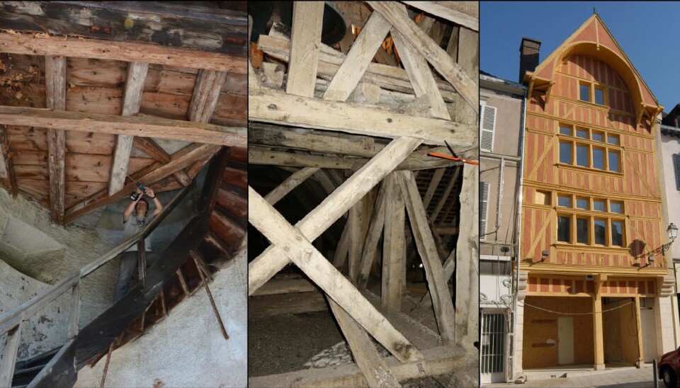 Building activity from the thirteenth to the seventeenth century was reconstructed by compiling the felling dates of construction timbers like these, throughout Europe. (Photo: Author provided)